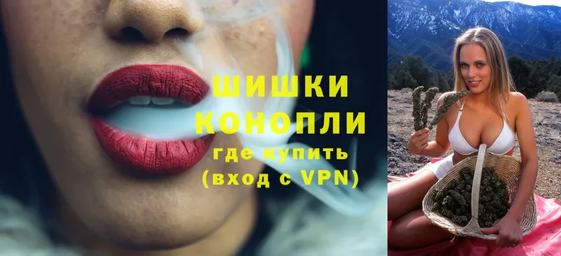 Бошки Шишки THC 21%  Галич 